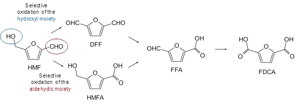 HMF oxidation to produce FDCA production