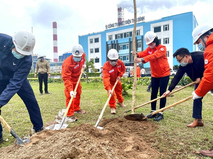 trồng cây tại khuân viên Nhà máy Nhiệt điện Thái Bình