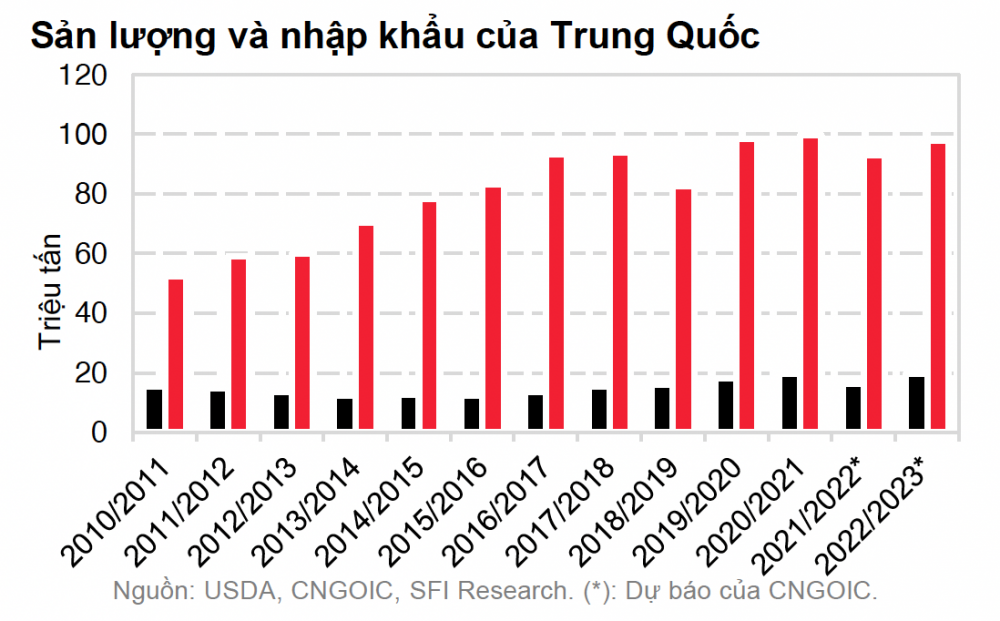 Cwin com sòng bạc trực tuyến đậu tương Trung Quốc