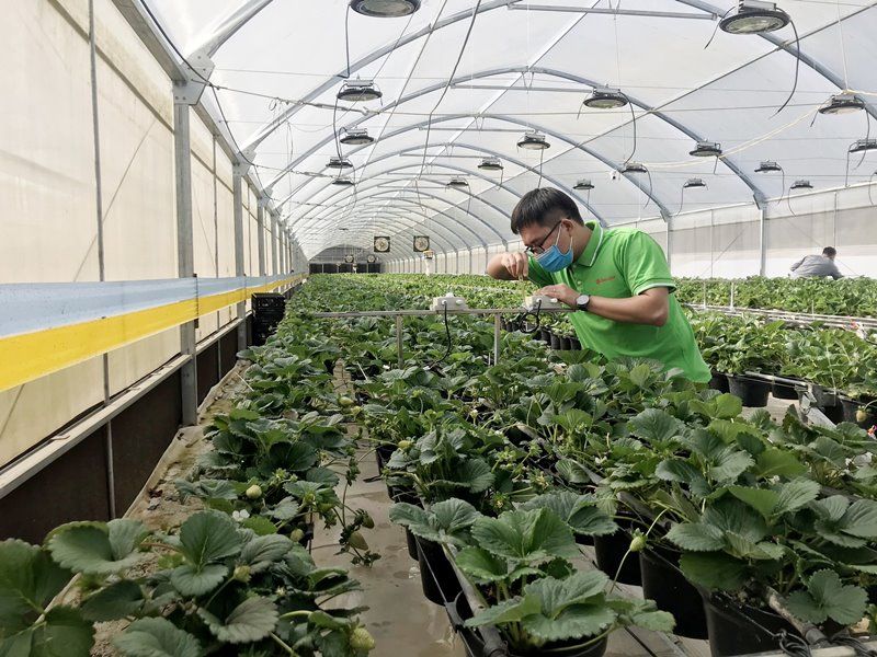 Smart Farm Rạng Đông 