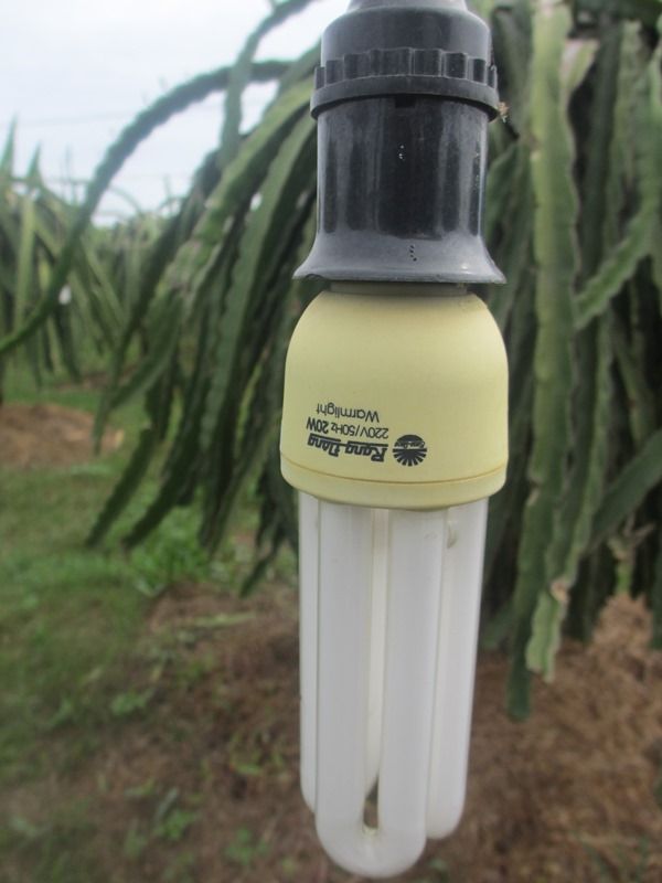 Smart Farm Rạng Đông 