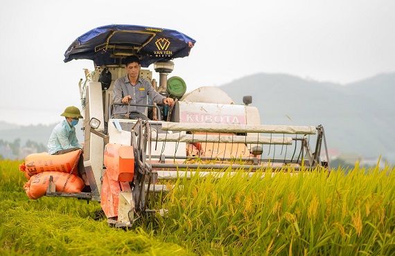 Mùa màng bội thu