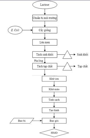 so-do-quy-trinh-cong-nghe-san-xuat-hmo-tu-e-coli
