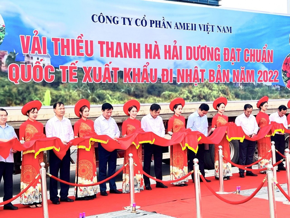 hai duong 4