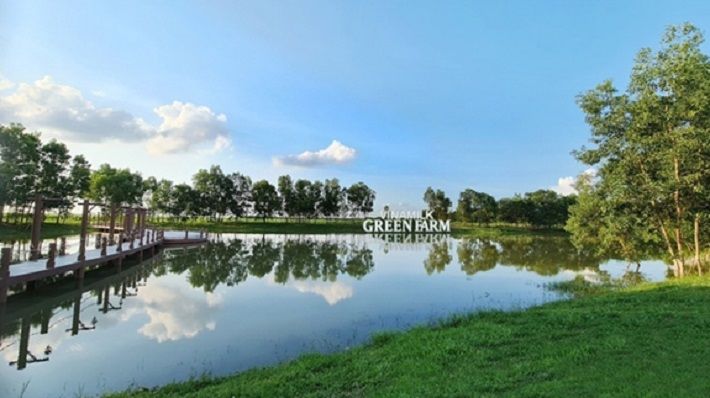 Mạch nước ngầm tại Trang trại Vinamilk Green Farm chính là yếu tố chính góp phần kiến tạo nên những hồ điều hòa sinh thái mang lại không khí mát mẻ, trong lành cho những cô bò.
