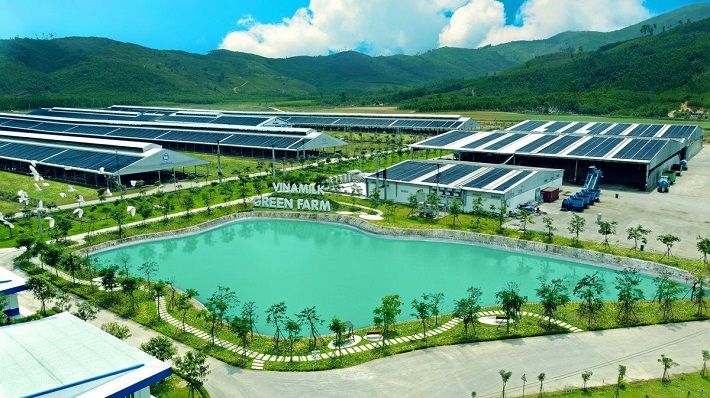 Trang trại sinh thái Vinamilk Green Farm đang được Vinamilk Cwin800 hàng ngàn khuyến mãi phát triển và nhân rộng