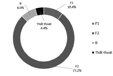 Hiệu suất của các phân đoạn tinh dầu bạch đàn chanh
