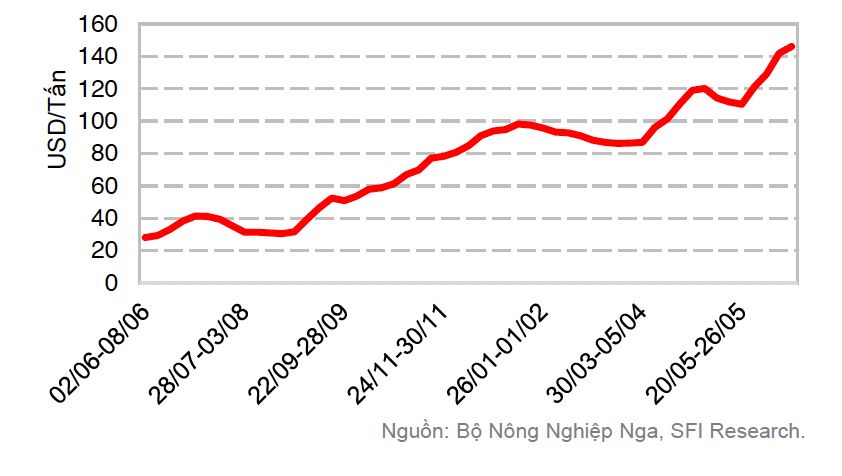 Thuế Cwin Đăng Ký + 1888k lúa mì của Nga