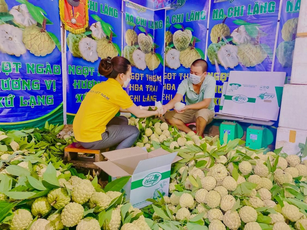 Các kênh thương mại điện tử hướng dẫn người nông dân cách đăng ký kinh doanh, bán nông sản trên sàn