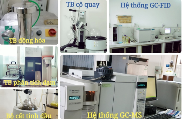 Phát triển ngành Dầu Việt Nam