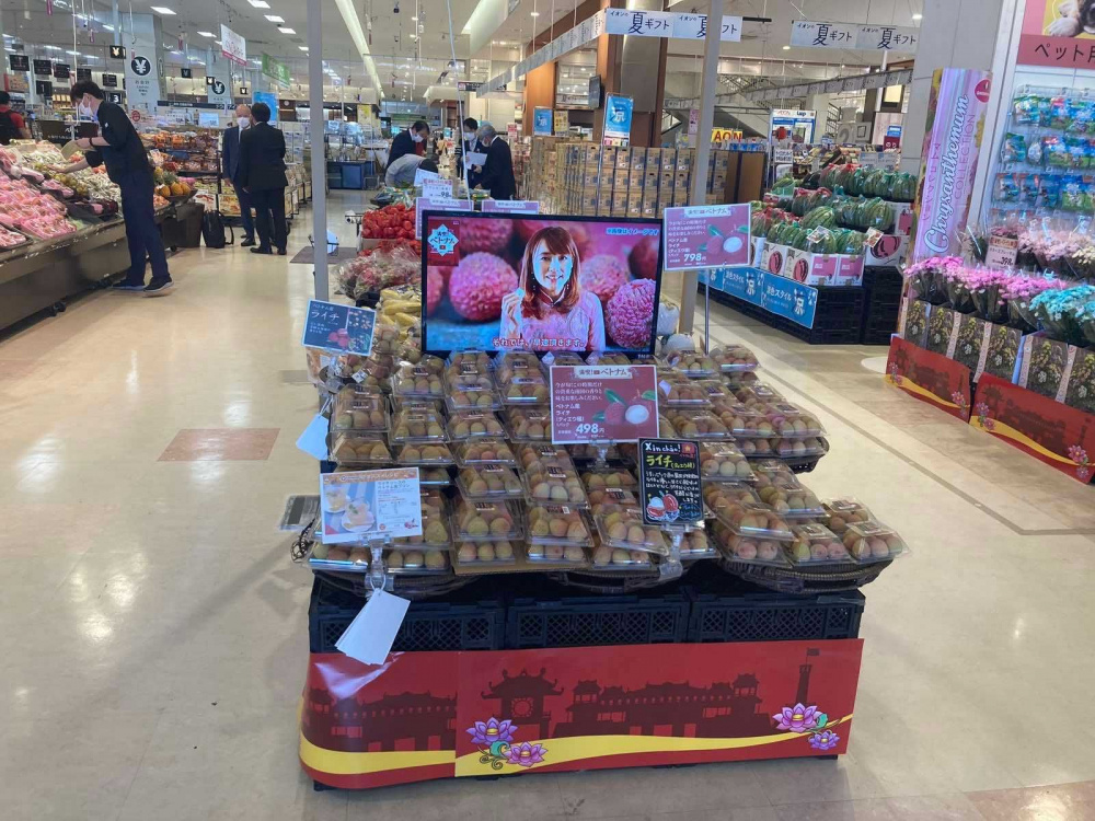 hang viet