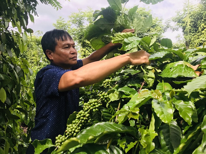 nông dân