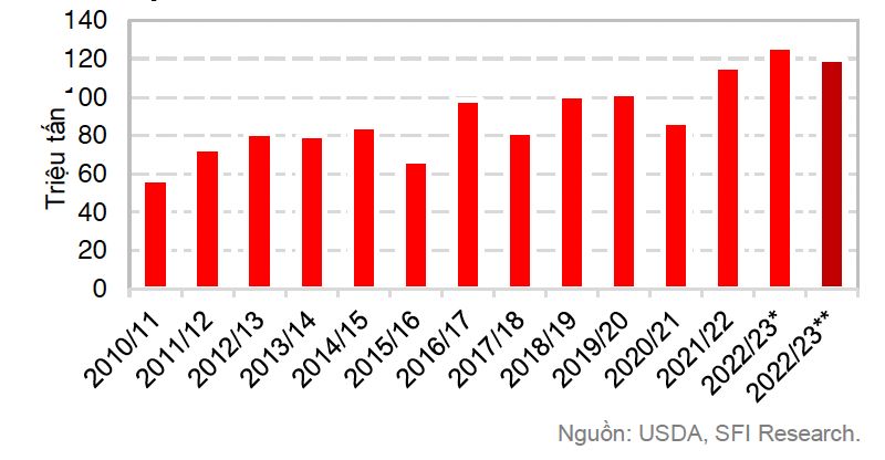 Diễn biến sản lượng ngô của Brazil