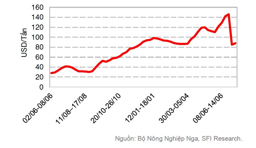 Mức thuế Cwin Đăng Ký + 1888k lúa mì của Nga