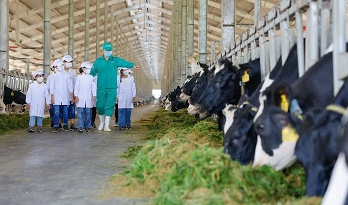 Các em thiếu nhi tại Trung tâm Bảo trợ Quảng Ngãi đến thăm Trang trại Vinamilk Green Farm Quảng Ngãi, một hoạt động trong chương trình Quỹ sữa 2022