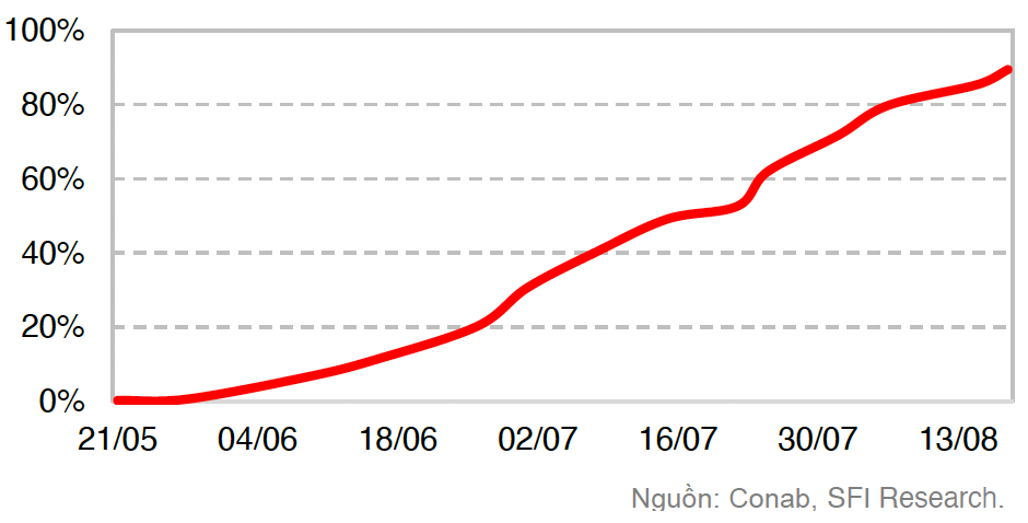 Tiến độ thu hoạch ngô Brazil