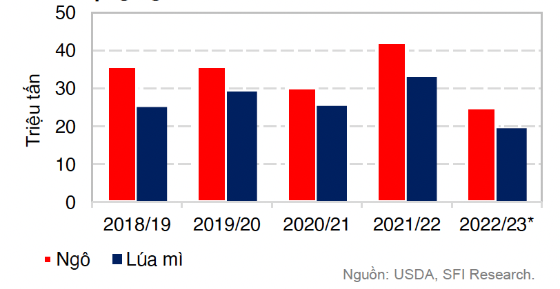 Sản lượng ngô của Ukraine