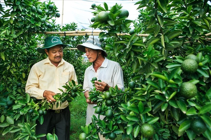 Bắc Tân Uyên