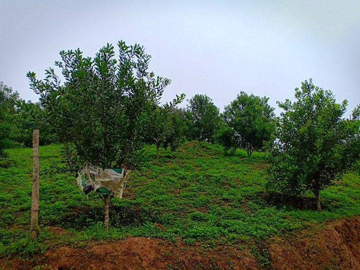 Điện Biên