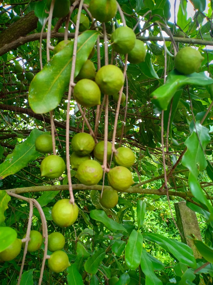 Điện Biên