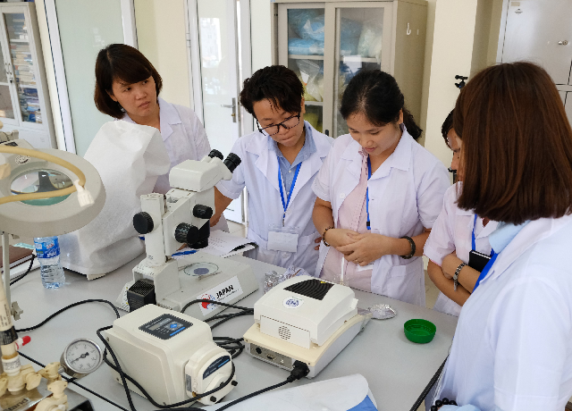 Viện Tải về ứng dụng CWIN05 ngay hôm nay Link vào Cwin Cá Cược Thể Thao 2026