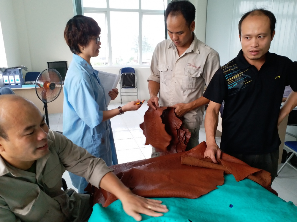 Viện nghiên cứu da giày