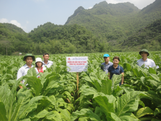 viện thuốc lá