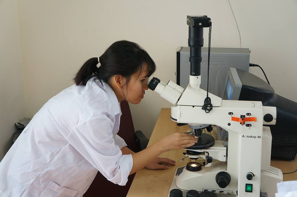 Viện Nghiên cứu Sành sứ Thủy tinh Tải về ứng dụng CWIN05 ngay hôm nay