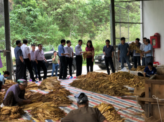 viện thuốc lá