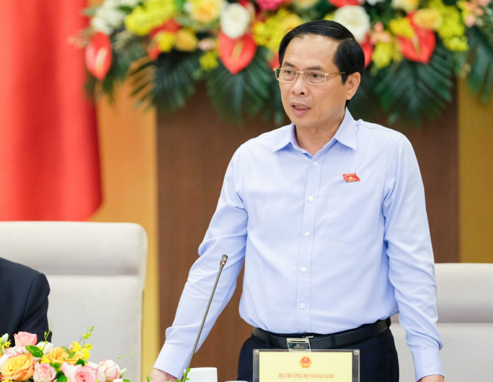 Bộ trưởng Bộ Ngoại giao Bùi Thanh Sơn