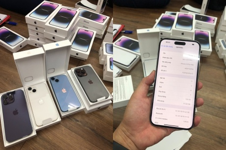 iPhone 14