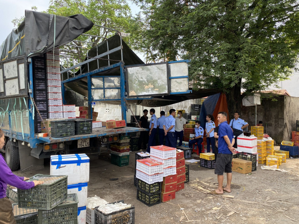 trái cây tươi