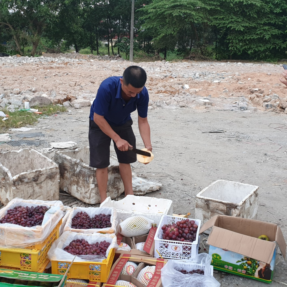 trái cây tươi
