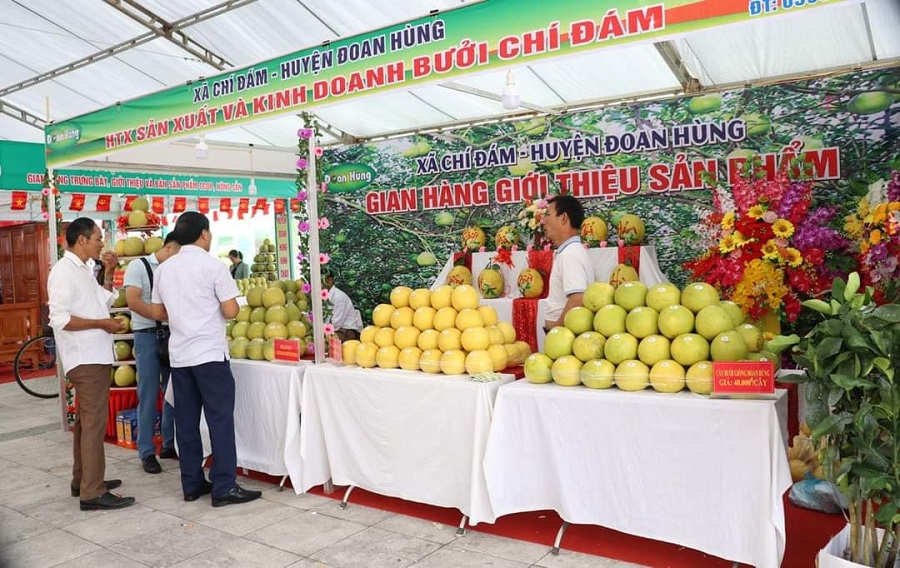sản phẩm OCOP