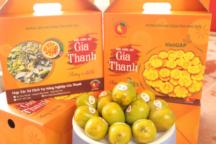 sản phẩm OCOP