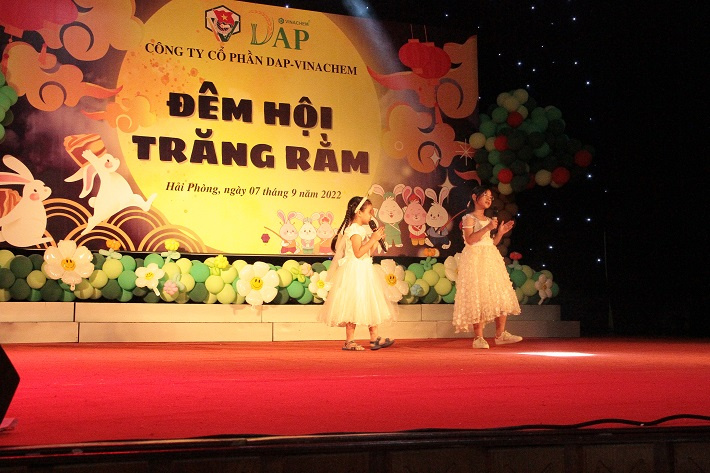 DAP-Vinachem c