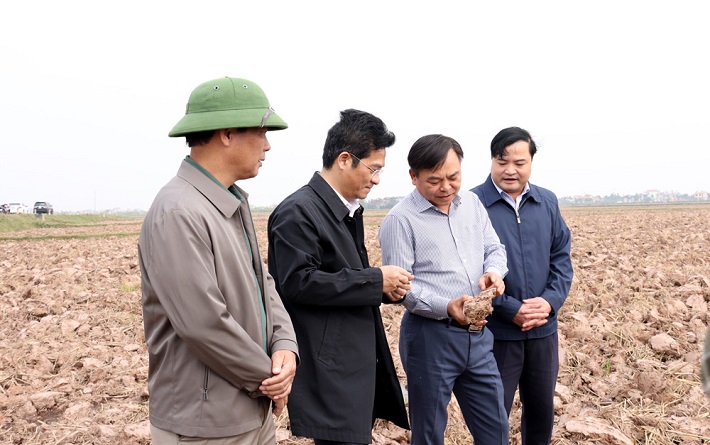 Nền tảng hàng đầu cung cấp Cwin com vụ Đông Xuân