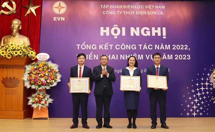Phó Tổng giám đốc EVN Phạm Hồng Phương