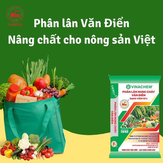 phan bon