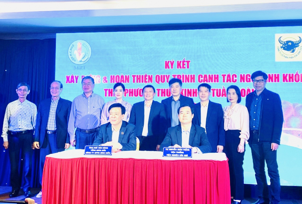 Bình Điền bắt tay hợp tác xây dựng, hoàn thiện quy trình canh tác ngô sinh khối
