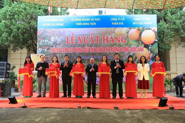 xuat khau cam