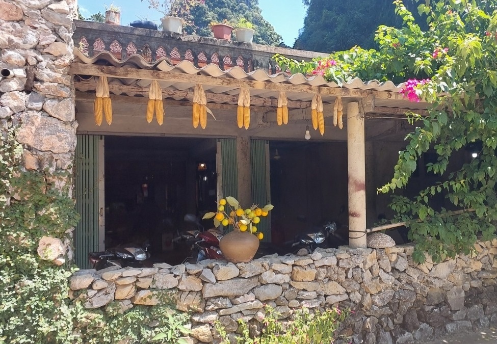 Thảo nguyên Đồng Lâm