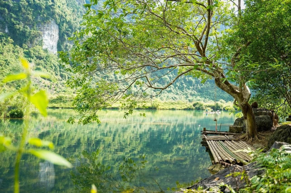 Thảo nguyên Đồng Lâm