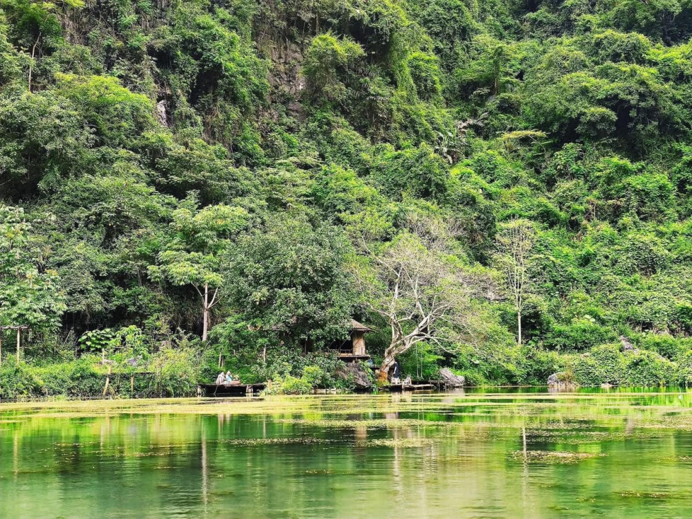 Thảo nguyên Đồng Lâm