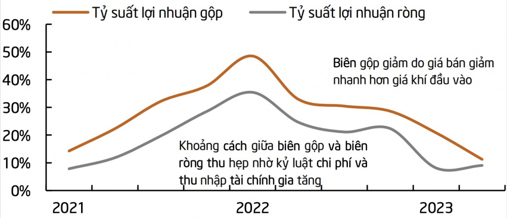 Lợi nhuận Đạm Cà Mau