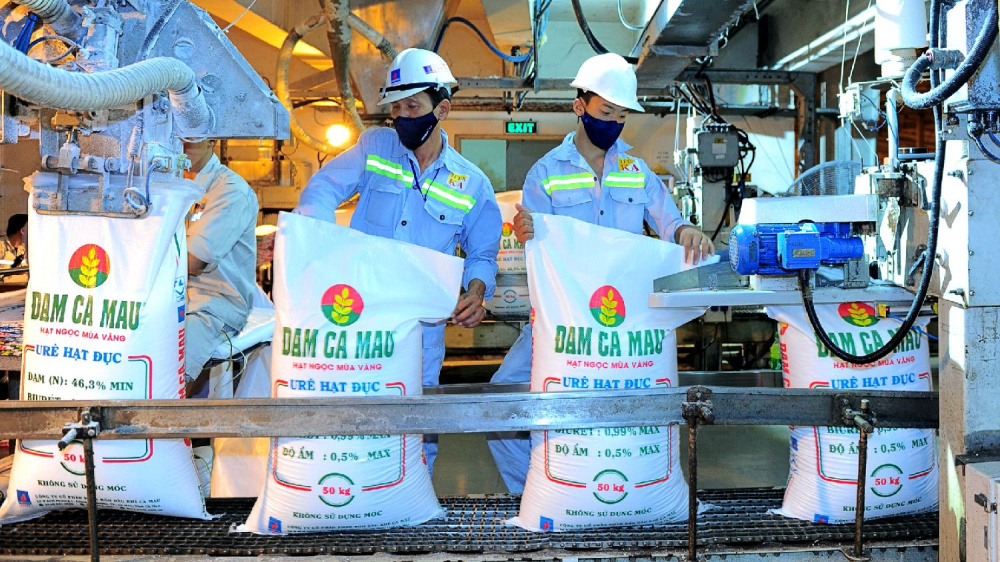 Đạm Cà Mau