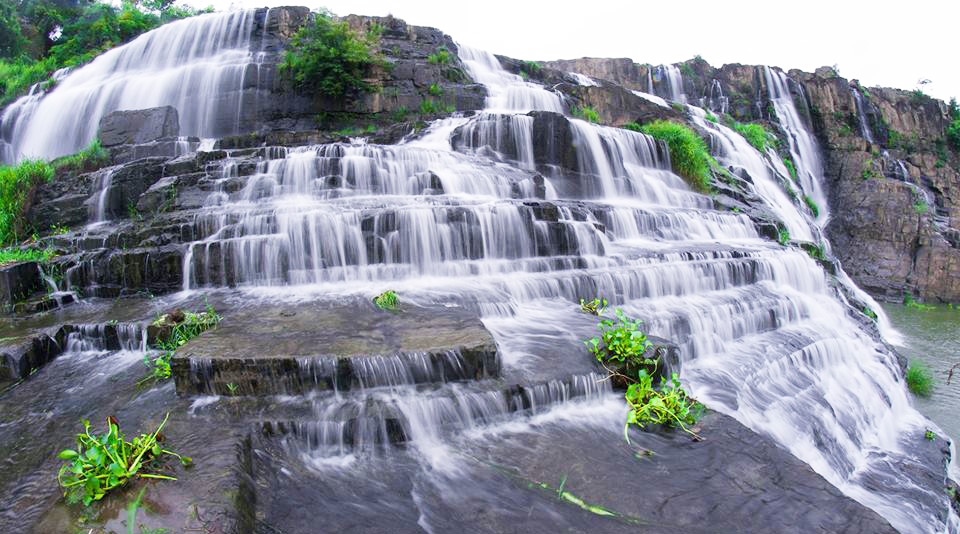 du khách quốc tế