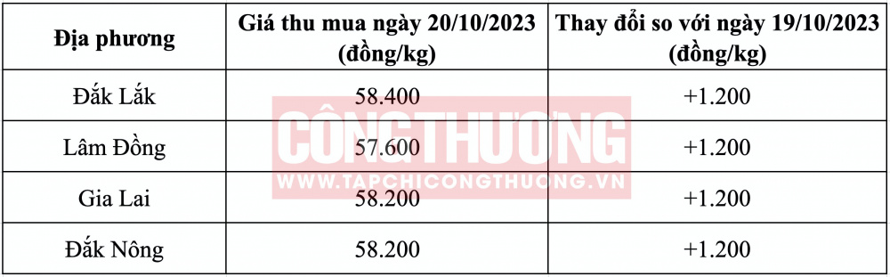 Giá cà phê hôm nay tại Tây Nguyên CWIN ✅ Nhà cái cờ bạc trực tuyến tốt nhất và Thương hiệu uy tín