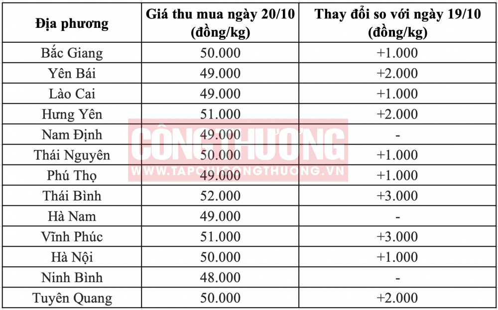 Giá heo hơi hôm nay tại miền Bắc CWIN ✅ Nhà cái cờ bạc trực tuyến tốt nhất và Thương hiệu uy tín