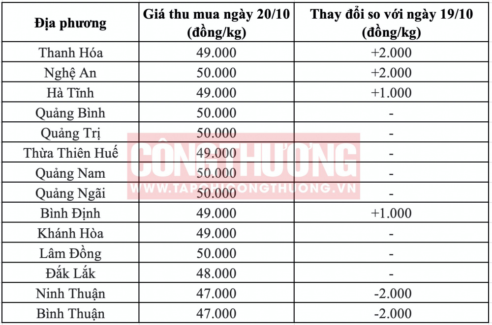 Giá heo hơi hôm nay tại miền Trung CWIN ✅ Nhà cái cờ bạc trực tuyến tốt nhất và Thương hiệu uy tín
